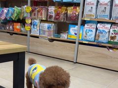 -艾贝尔宠物医院·狂犬免疫点(江山金象城店)