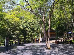 -大七孔景区-天生桥