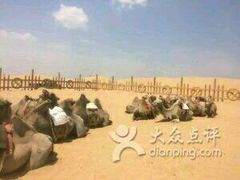 -亿利库布其七星湖沙漠生态旅游区