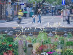 -溪岸路花鸟市场