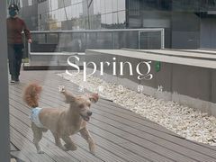 -百好乐宠物友好餐厅(朝外大街店)