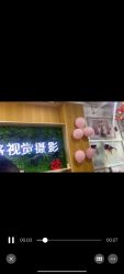 点击看大图 -邦洛·视觉摄影(华润店)