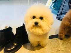 -北京赛佳动物医院