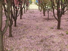 -河南工业大学(莲花街校区)