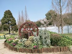 -苏州上方山国家森林公园