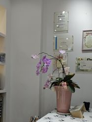 -U3日式美甲美睫