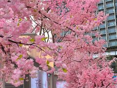 -首开·龙湖成都西宸天街
