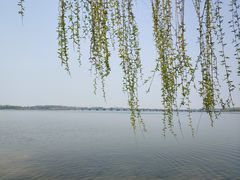 -丁香湖公园
