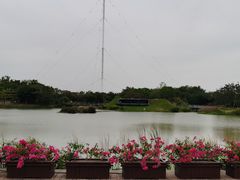 -福田红树林生态公园