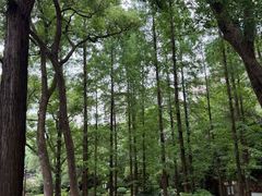 -忠山公园