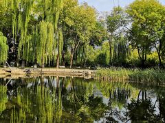 -玲珑塔公园