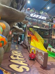 -卡通尼·Safari非洲探索乐园·生日会(金桥国际商业广场店)