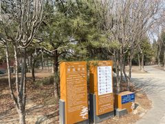 -太阳宫足球俱乐部