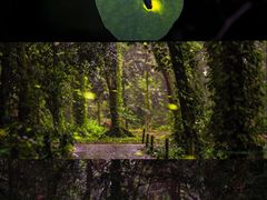 -华南国家植物园-售票处