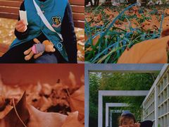 -河南省黄河迎宾馆