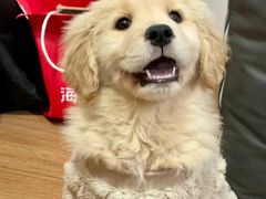 -胡悦里韩式烤肉(芝罘万达广场店)