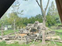 -上海野生动物园