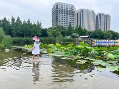 -南翔镇银翔湖公园