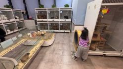 点击看大图 -第五极儿童乐园