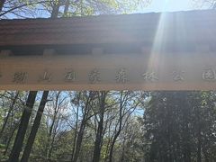 -午潮山国家森林公园