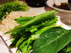 -汤城·料青山