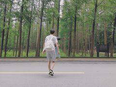 -日照海滨国家森林公园