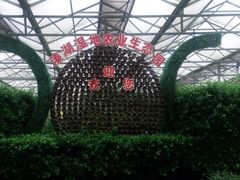 -溱湖国家湿地公园