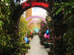 -The Grounds of Alexandria