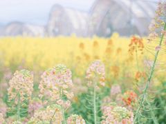 -中国天府农业博览园