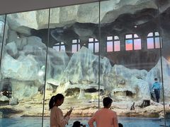 -帝企鹅自助餐厅•儿童岛•真企鹅(长隆企鹅酒店)