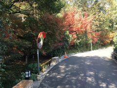 -西湖风景区-江洋畈生态公园
