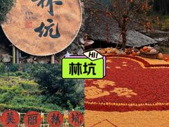 -林坑古村落