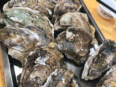 桑拿蚝-蚝专家(北滘店)