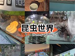 -上海大自然野生昆虫馆(东方明珠·爬宠昆虫探索中心)