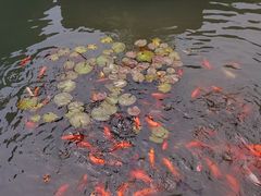 -三苏祠