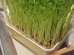 -海底捞火锅(大融城店)