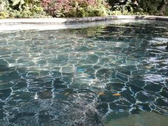 -海兰云天度假区温泉