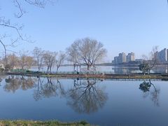 -金银湖国家城市湿地公园