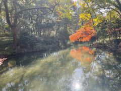 -西湖游船
