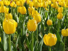 -长春公园(普阳街道)