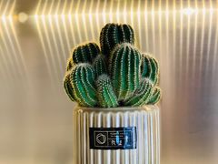 -CoCo都可(360丰产店)