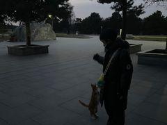 -秦始皇帝陵博物院-丽山园