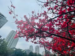 -红星桥(地铁站)