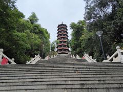 -红花山公园