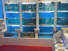 -赶海部落海鲜城(海阳路店)