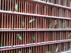 -西安大唐西市博物馆