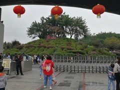 -自贡恐龙博物馆