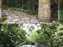 -天目湖山水园