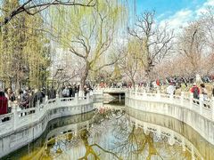 -桃花堤公园