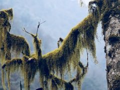 -西岭雪山大飞水景区